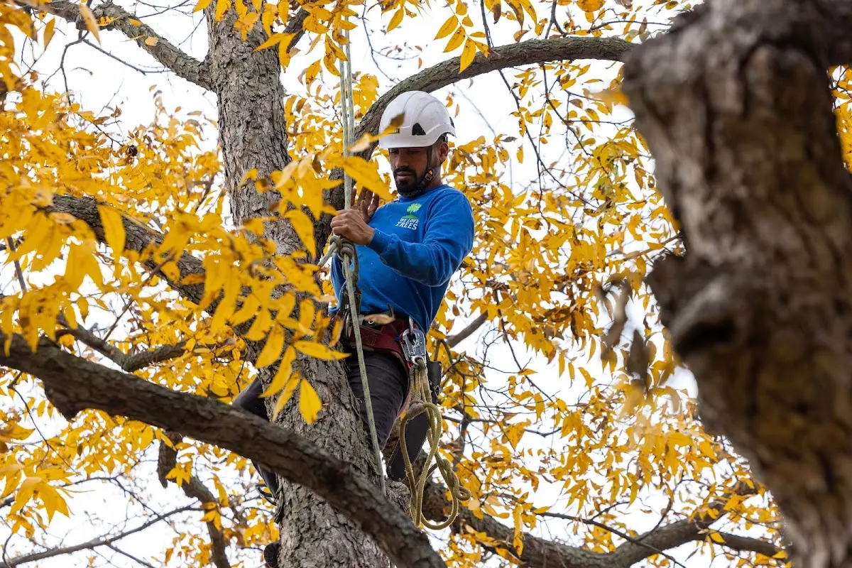 Skilled Storm Damage Cleanup crew working in Hill Afb
